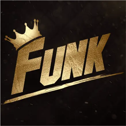 AnyConv.com__FUNK - 01